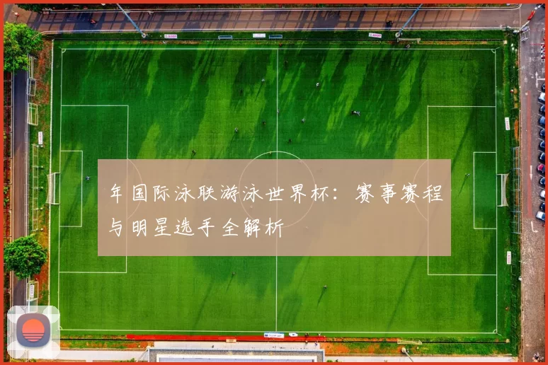 年国际泳联游泳世界杯：赛事赛程与明星选手全解析