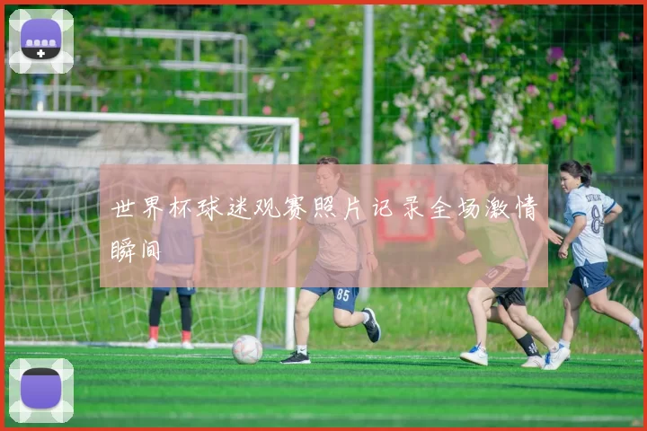 世界杯球迷观赛照片记录全场激情瞬间