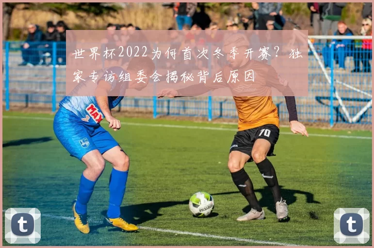 世界杯2022为何首次冬季开赛？独家专访组委会揭秘背后原因