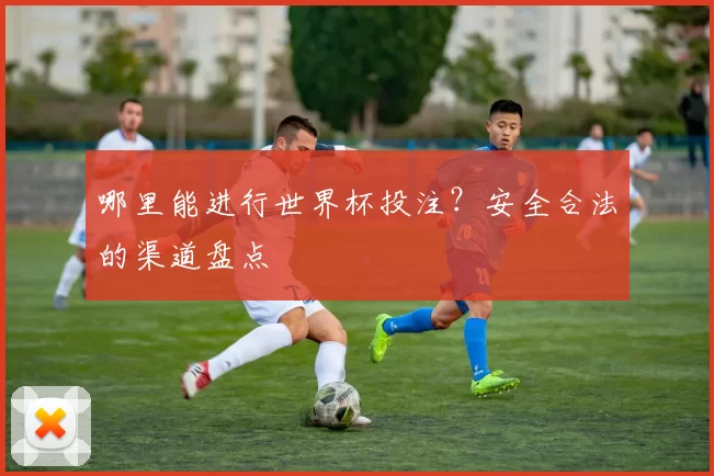 哪里能进行世界杯投注?安全合法的渠道盘点