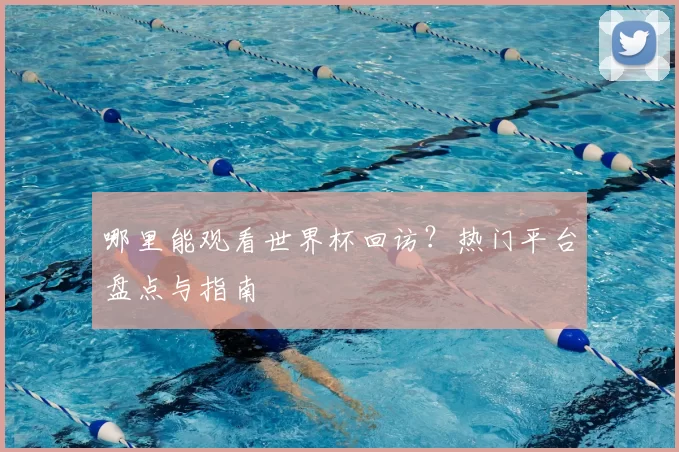 哪里能观看世界杯回访?热门平台盘点与指南