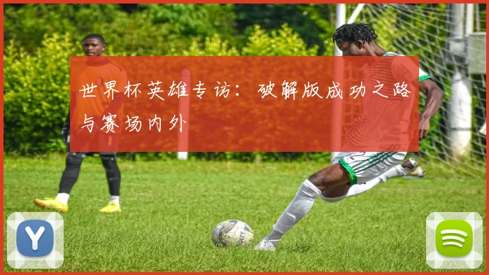 世界杯英雄专访：破解版成功之路与赛场内外