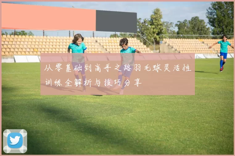 从零基础到高手之路羽毛球灵活性训练全解析与技巧分享