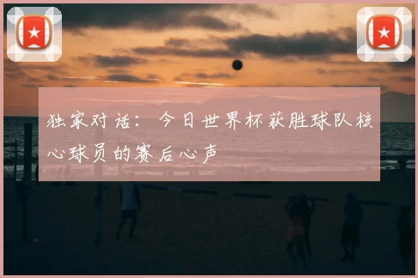 独家对话：今日世界杯获胜球队核心球员的赛后心声