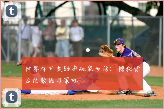 世界杯开奖赔率独家专访：揭秘背后的数据与策略