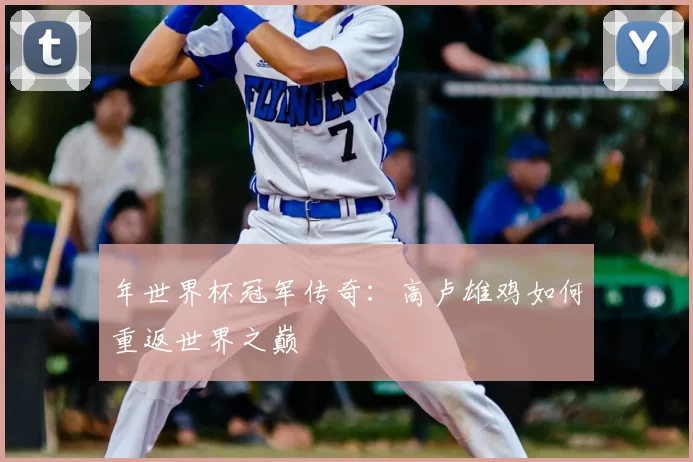 年世界杯冠军传奇:高卢雄鸡如何重返世界之巅