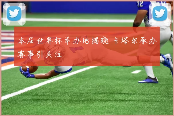 本届世界杯举办地揭晓 卡塔尔承办赛事引关注