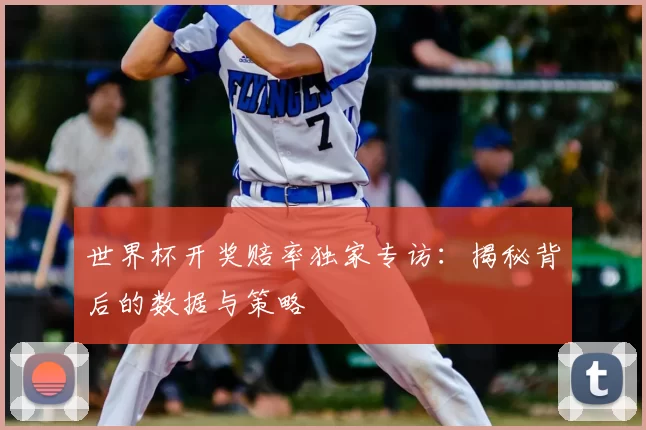 世界杯开奖赔率独家专访:揭秘背后的数据与策略