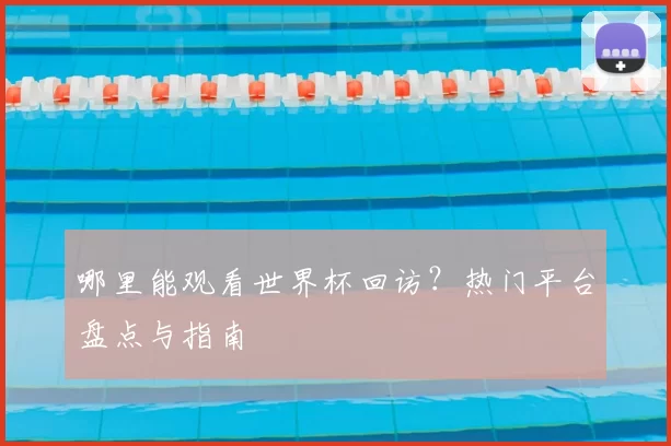 哪里能观看世界杯回访?热门平台盘点与指南