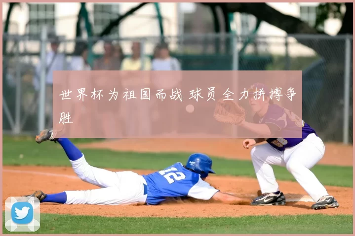 世界杯为祖国而战 球员全力拼搏争胜