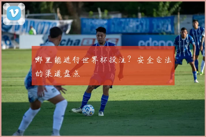 哪里能进行世界杯投注?安全合法的渠道盘点