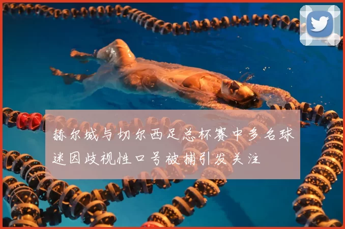 赫尔城与切尔西足总杯赛中多名球迷因歧视性口号被捕引发关注