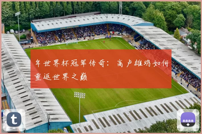 年世界杯冠军传奇:高卢雄鸡如何重返世界之巅
